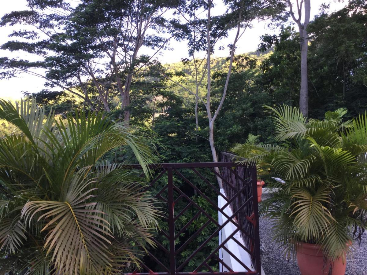 Bougainvillas Seychelles Anse Royale Eksteriør bilde