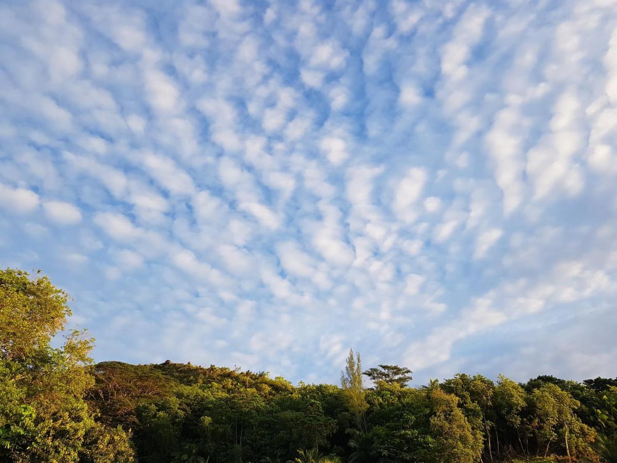 Bougainvillas Seychelles Anse Royale Eksteriør bilde